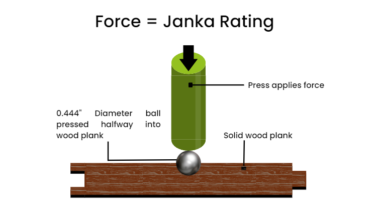 ağaç janka testi